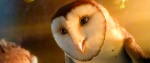 Foto de Los Guardianes de Ga'Hoole (Legend of the Guardians)