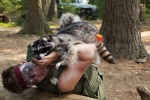 Foto de En pata de guerra (Furry Vengeance)