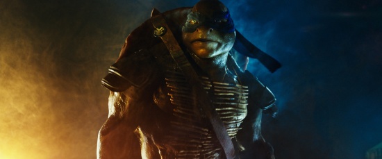 Imagen de Ninja Turtles (Teenage Mutant Ninja Turtles)