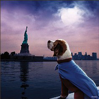 Foto de SuperDog (Underdog)