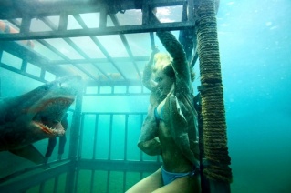 Im�genes de Tibur�n 3D: La presa (Shark Night 3D)