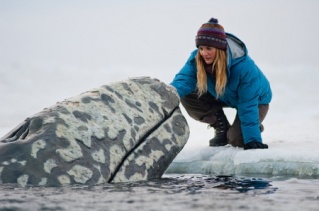 Foto de Una aventura extraordinaria (Big Miracle)