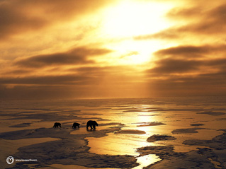 Foto, imagen de Tierra, la pel�cula de nuestro planeta (Earth)