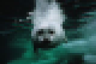 Foto de Los Reyes Del �rtico (Arctic Tale)
