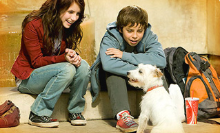 Foto de Hotel para perros (Hotel for Dogs)
