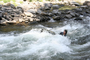 Foto, imagen de  (A Plumm Summer)
