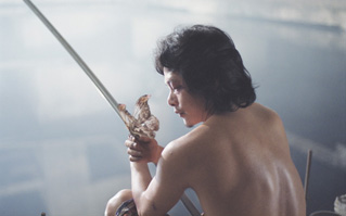 Foto, imagen de  (Hei yan quan)