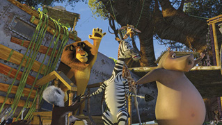 Foto de Madagascar 2 (Madagascar: Escape 2 Africa)