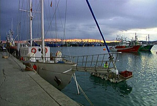 Foto, imagen de Palabras que Vienen del Mar (Palabras que Vienen del Mar)
