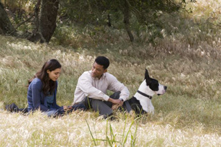Foto, imagen de Siete Almas (Seven Pounds)