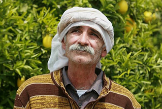 Foto de Los Limoneros (Etz Limon )
