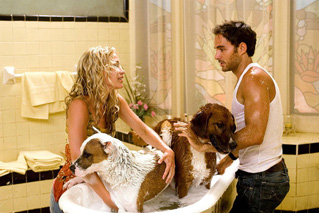 Foto de Un Chihuahua en Beverly Hills (Beverly Hills Chihuahua)