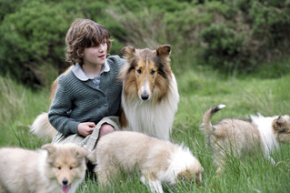Foto de Lassie (Lassie)