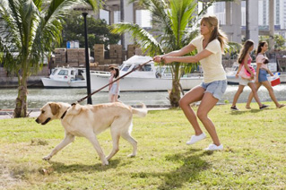 Foto de Una pareja de tres (Marley & Me)