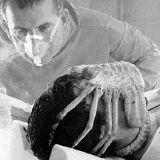 Foto de Alien, el Octavo Pasajero (Alien)