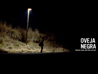 Foto de Oveja negra (Oveja negra)