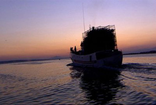Foto de Malta Radio (Malta Radio)