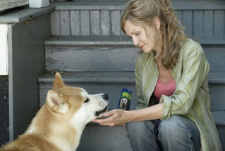 Foto de Siempre a tu Lado. Hachiko (Hachiko: A Dog's Story )