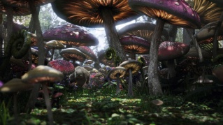 Im�genes de Alicia en el Pa�s de las Maravillas (Alice in Wonderland)