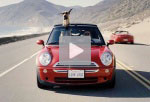 Tr�ilers y v�deos de Marmaduke (Marmaduke)