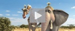 Tr�ilers y v�deos de Animals United (Die Konferenz der Tiere)