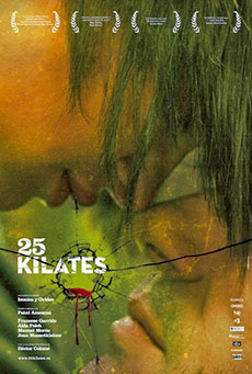 25 kilates Imagen de 25 kilates
