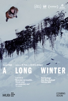 Imagen de A Long Winter