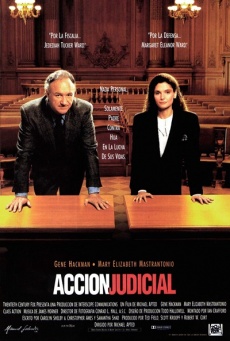 Imagen de Acción judicial