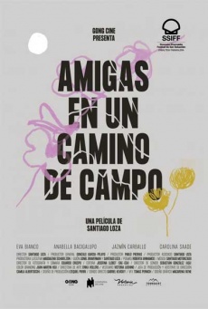Amigas en un camino de campo Imagen de Amigas en un camino de campo