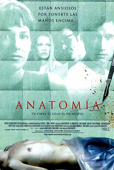 Anatomía Imagen de Anatomía