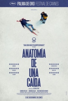 Anatomía de una caída Imagen de Anatomía de una caída