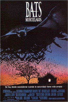 Bats (Murciélagos) Imagen de Bats (Murciélagos)