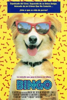 Bingo Imagen de Bingo
