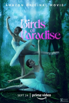 Birds of Paradise Imagen de Birds of Paradise