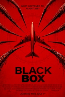 Imagen de Black Box: Vuelo 298