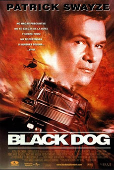 Black Dog Imagen de Black Dog
