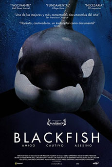 Blackfish Imagen de Blackfish