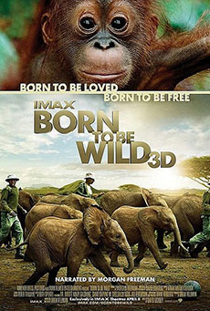 Born to Be Wild Imagen de Born to Be Wild