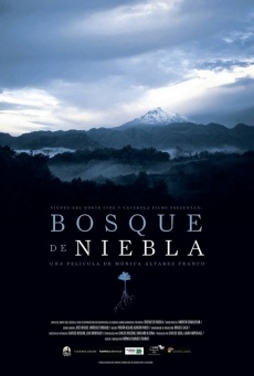 Bosque de niebla Imagen de Bosque de niebla