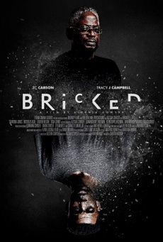 Bricked Imagen de Bricked
