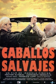 Caballos salvajes Imagen de Caballos salvajes