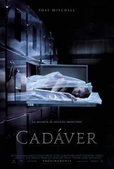 Cadáver Imagen de Cadáver