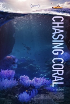En busca del coral Imagen de En busca del coral