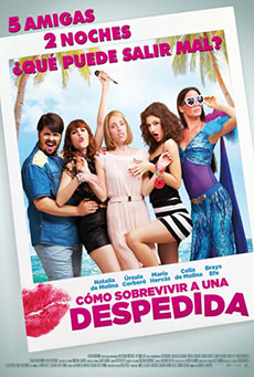 Cómo sobrevivir a una despedida Imagen de Cómo sobrevivir a una despedida