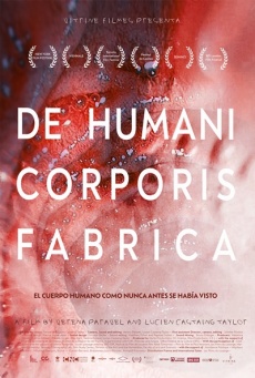 De humani corporis fabrica Imagen de De humani corporis fabrica