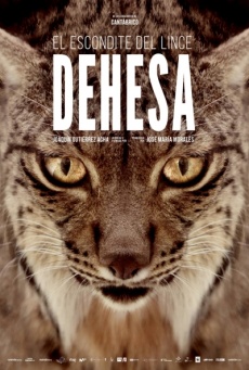 Dehesa, el escondite del lince ibérico Imagen de Dehesa, el escondite del lince ibérico
