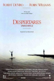 Despertares Imagen de Despertares