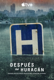 Después del huracán Imagen de Después del huracán