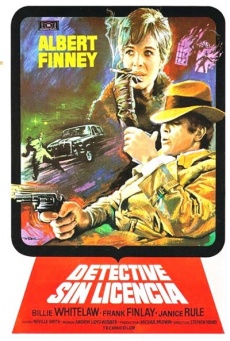 Imagen de Detective sin licencia