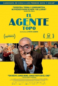 Imagen de El agente topo